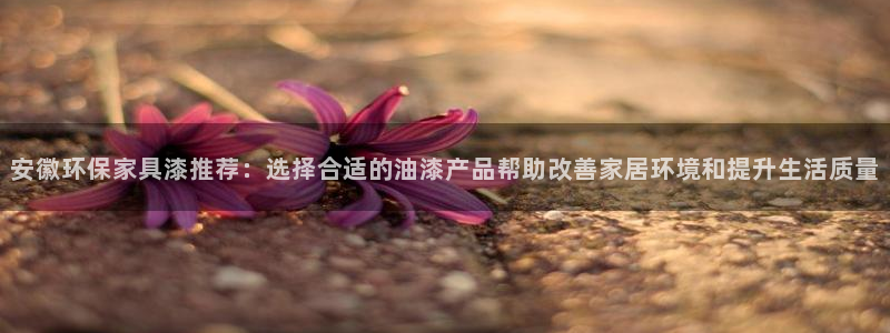 意昂5(KGAME)平臺在線注冊：安徽環保家具漆推薦：選擇合